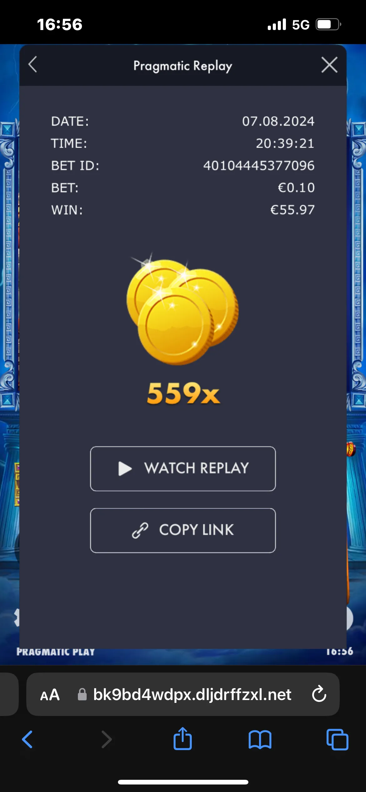 User provided screenshot