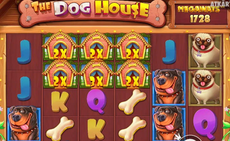 User provided screenshot